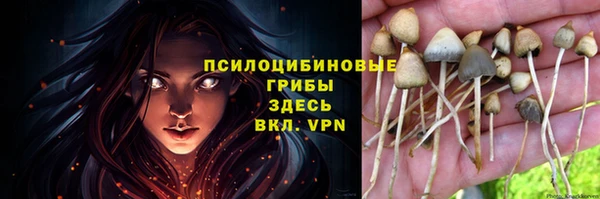 прущая мука Балахна